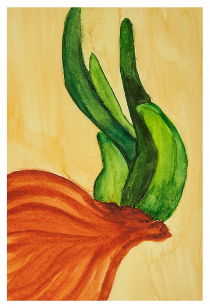 Click here to view Onion Sprouts Study by Marcia J Popp
