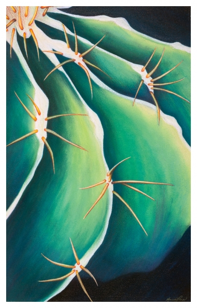 Click here to view Ribs and Spines by Marcia J Popp