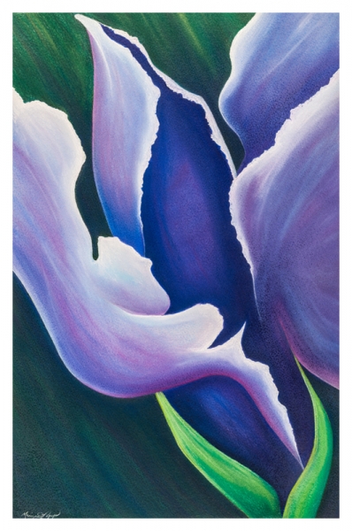 Click here to view Dutch Blue by Marcia J Popp