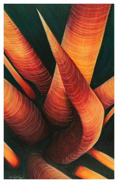 Click here to view Red Spines by Marcia J Popp
