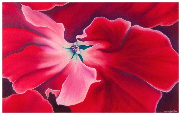 Click here to view Fiery Geranium by Marcia J Popp
