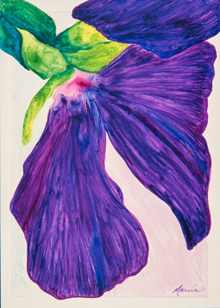 Click here to view Weeping Pansy by Marcia J Popp
