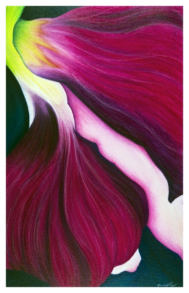 Click here to view Viola by Marcia J Popp