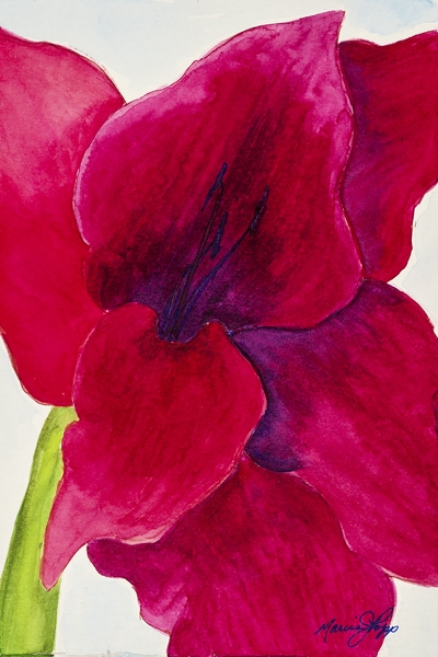 Click here to view Fuschia Joy by Marcia J Popp
