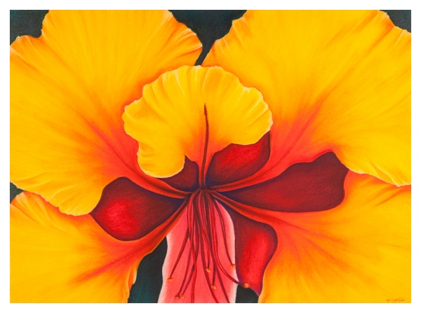 Click here to view Desert Botanical artwork by Marcia J Popp