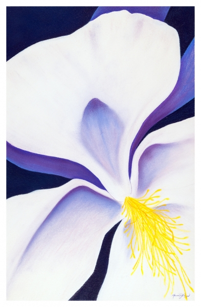 Click here to view Columbine by Marcia J Popp