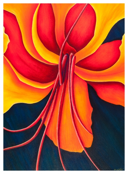 Click here to view Paradise Red by Marcia J Popp