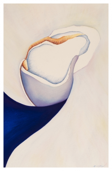 Click here to view Nature artwork by Marcia J Popp