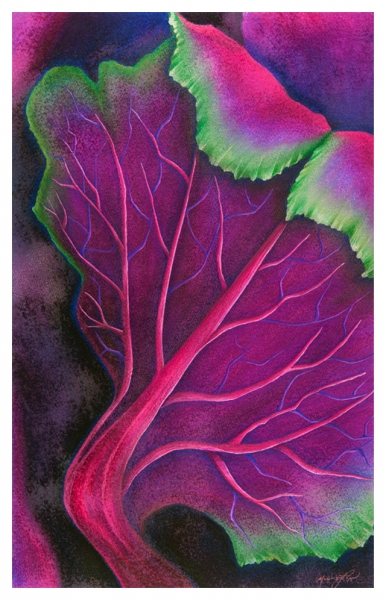 Click here to view Botanical artwork by Marcia J Popp