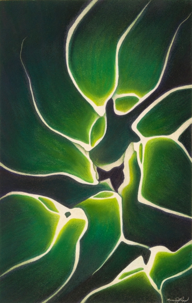 Click here to view Victoria Agave by Marcia J Popp