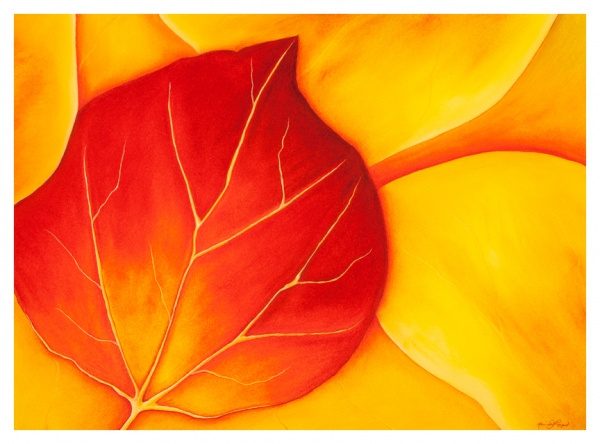 Click here to view Aspen by Marcia J Popp