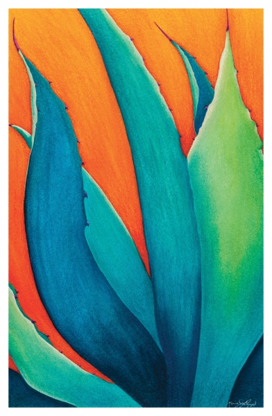 Click here to view Century Blue by Marcia J Popp