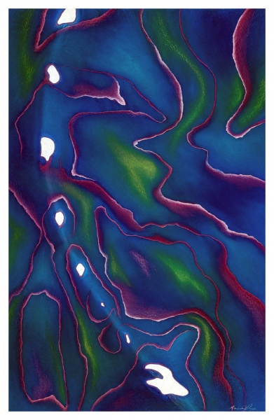 Click here to view Paua 2 by Marcia J Popp