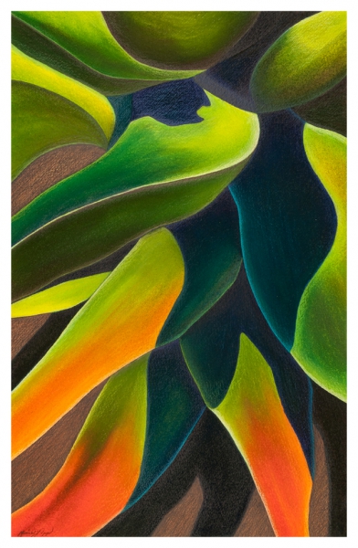 Click here to view Sunset Agave by Marcia J Popp