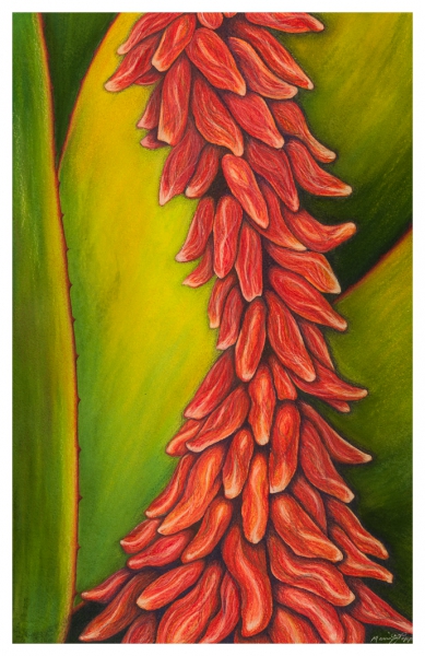 Click here to view Fiery by Marcia J Popp
