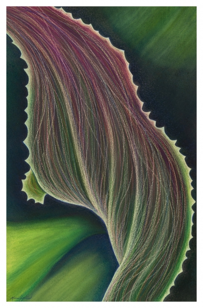 Click here to view Twist by Marcia J Popp