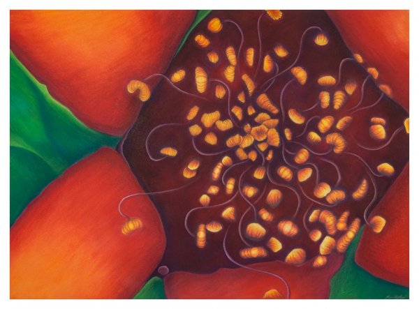 Click here to view Heart of Gold by Marcia J Popp