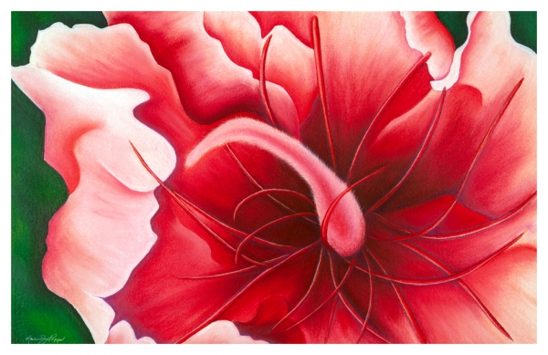 Click here to view Tickled Pink by Marcia J Popp