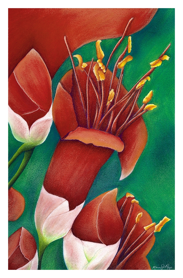 Click here to view Fire Flower by Marcia J Popp