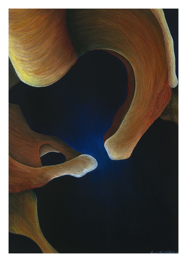 Click here to view Pelvic Ring by Marcia J Popp
