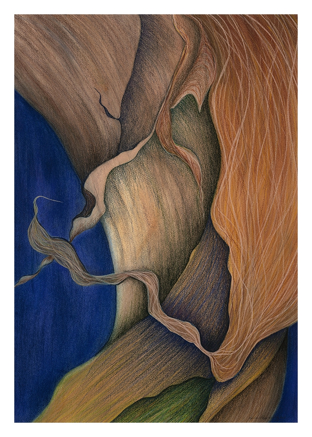 Click here to view Onion Skin by Marcia J Popp