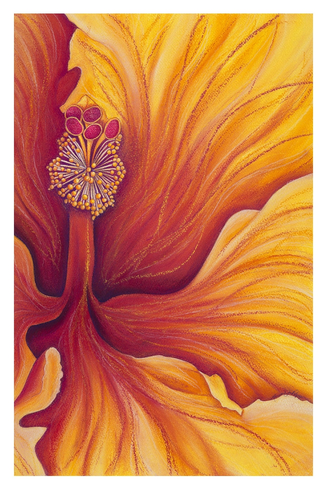 Click here to view Fuego by Marcia J Popp