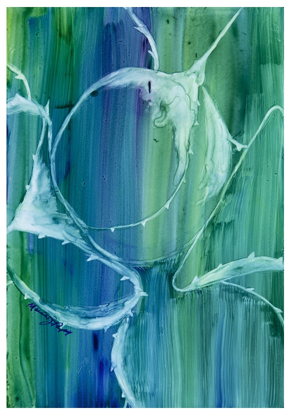 Click here to view Agave Run by Marcia J Popp