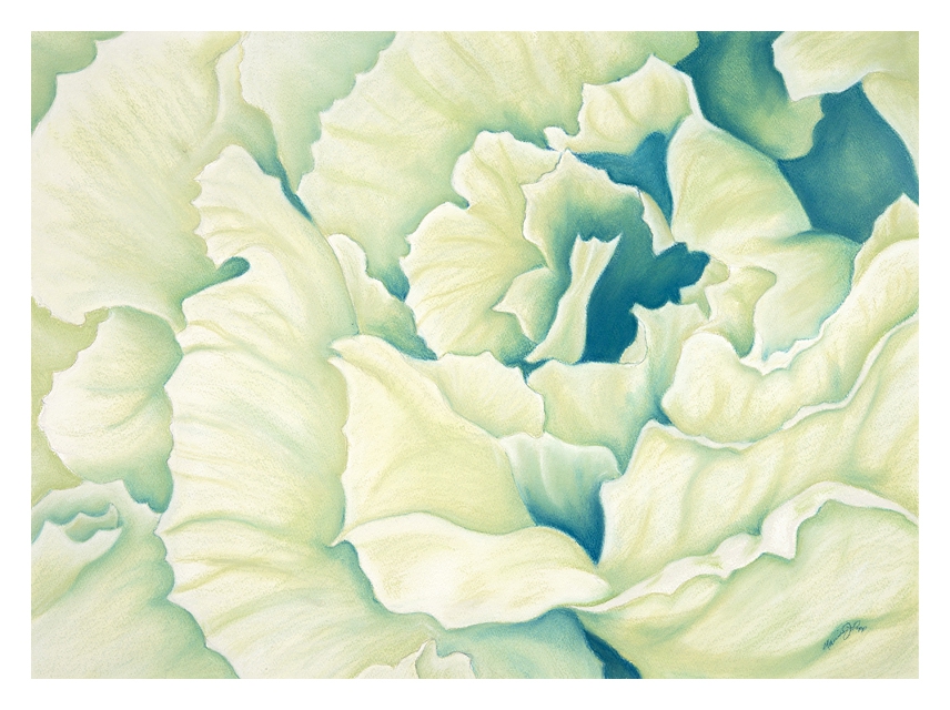 Click here to view Brassica by Marcia J Popp