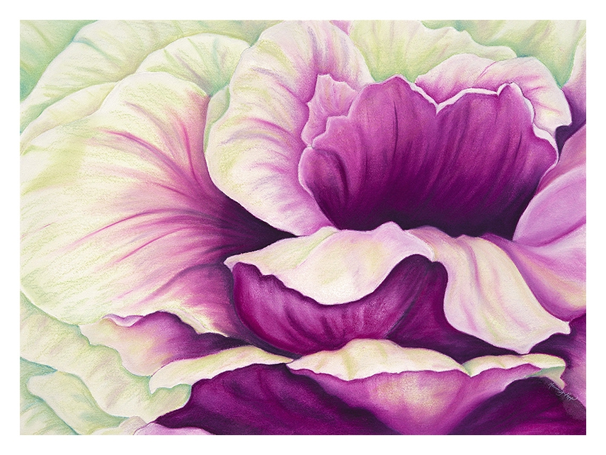 Click here to view Magenta Brassica by Marcia J Popp