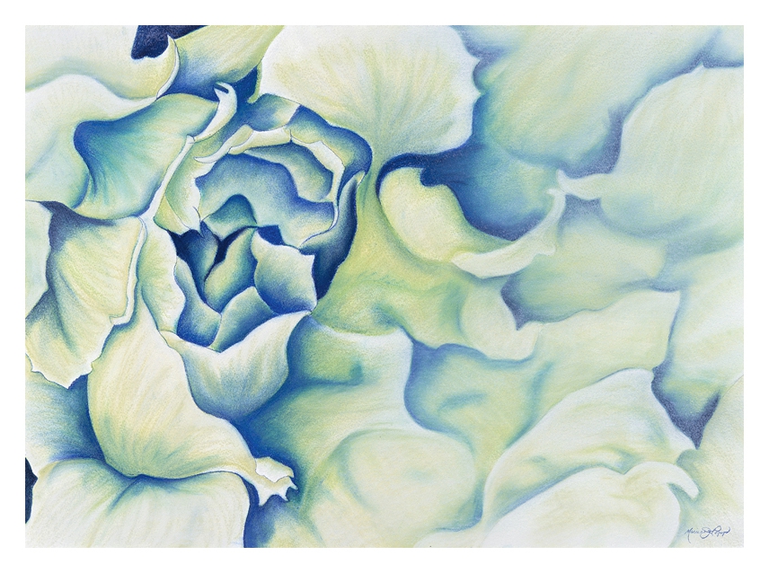 Click here to view Brassica Blue by Marcia J Popp