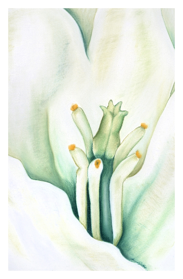 Click here to view Panicle Pulpit by Marcia J Popp
