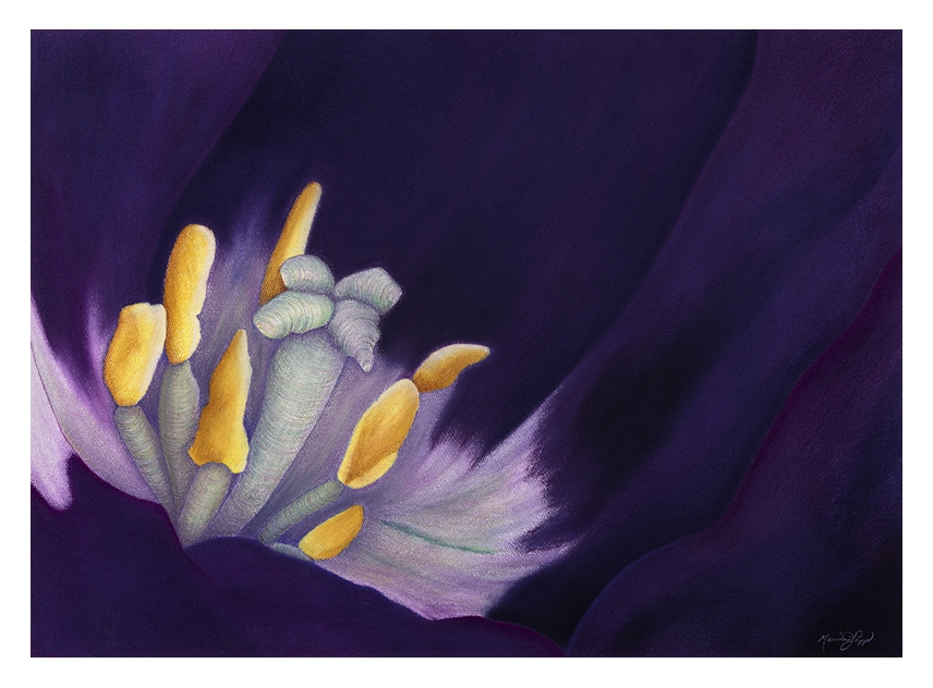 Click here to view Illumination by Marcia J Popp