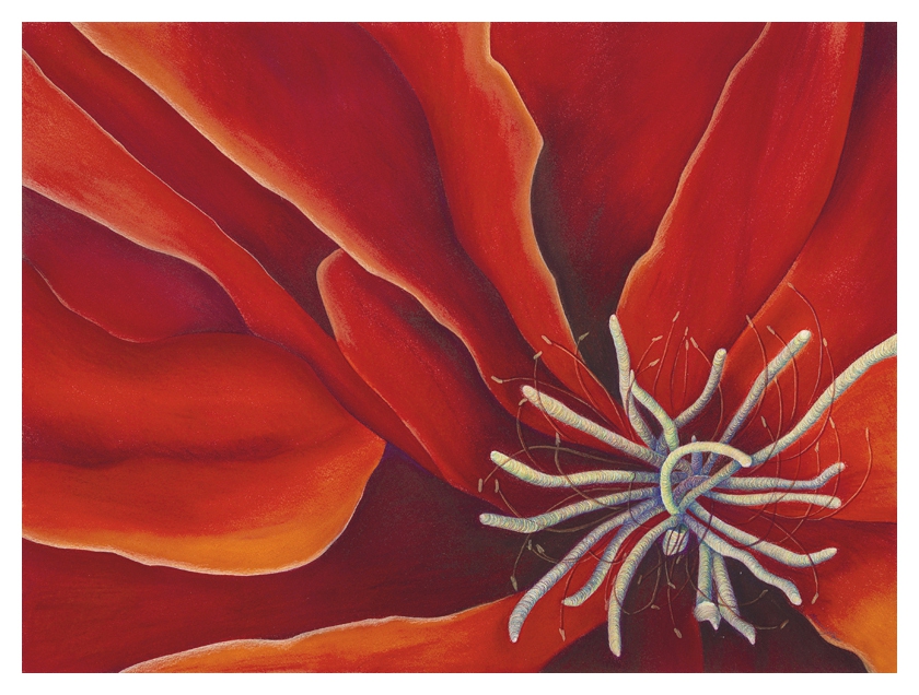 Click here to view Fiery Extraterrestrial by Marcia J Popp