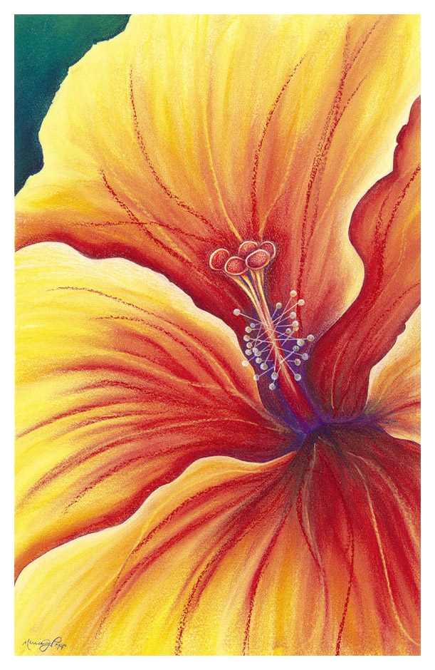 Click here to view Tango by Marcia J Popp