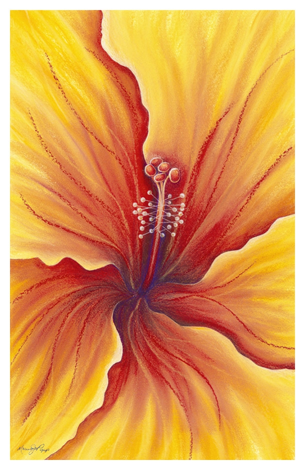 Click here to view Flamenco by Marcia J Popp
