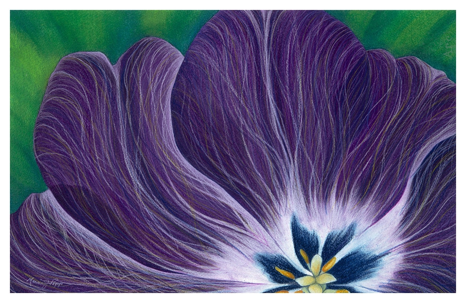 Click here to view Grace by Marcia J Popp