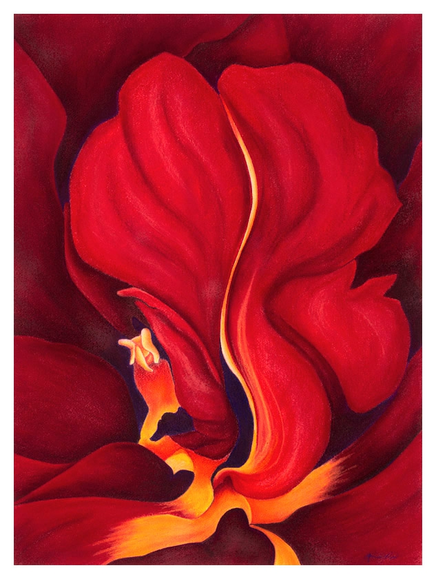 Click here to view Firebird by Marcia Popp