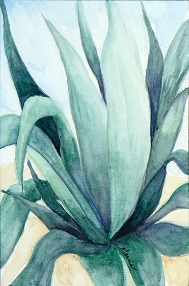 Click here to view Agave Blues by Marcia J Popp