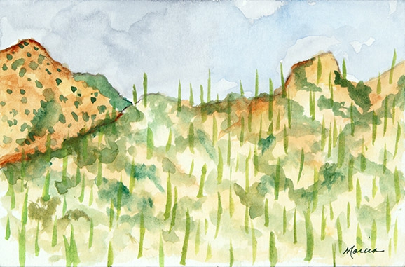 Click here to view Catalina Storm by Marcia J Popp