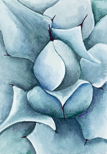 Click here to view Silver Desert Rose by Marcia J Popp