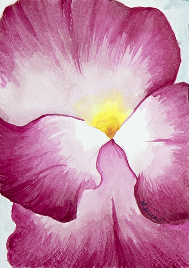 Click here to view Pink Pansy by Marcia J Popp