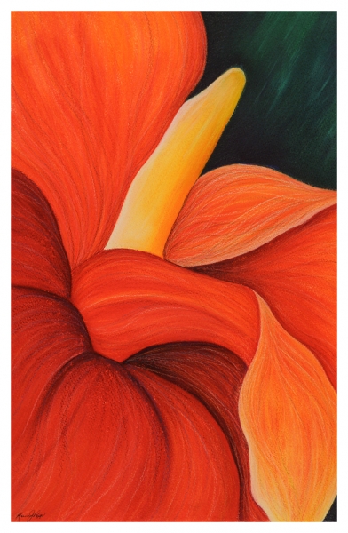 Click here to view Bromeliad Flower by Marcia J Popp