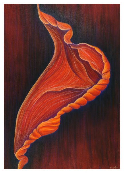 Click here to view Red Amaryllis Bud by Marcia J Popp