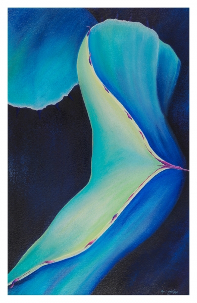Click here to view Blue Agave by Marcia J Popp