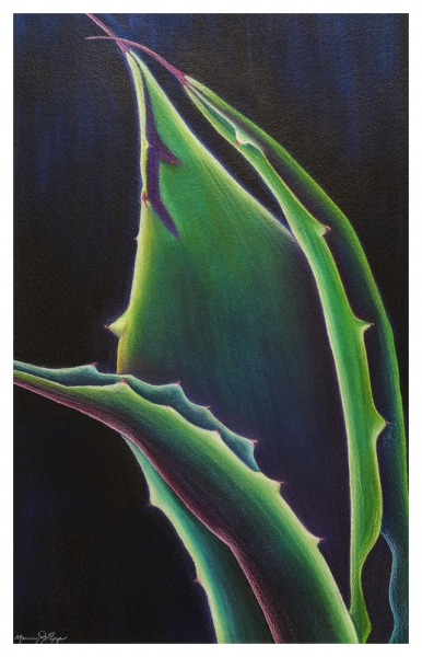 Click here to view Green Agave by Marcia J Popp