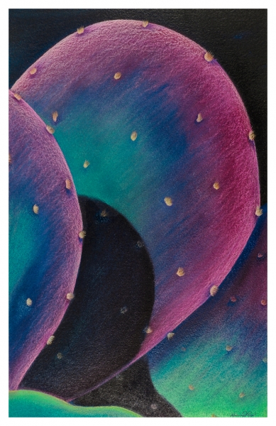 Click here to view Purple Prickly Pear by Marcia J Popp