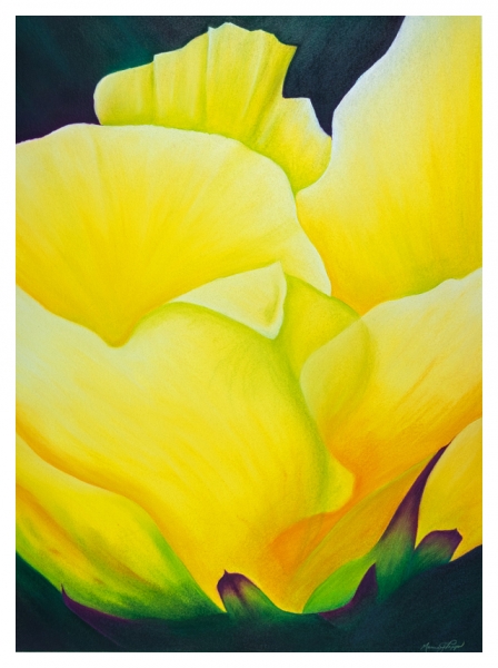 Click here to view Desert Bloom by Marcia J Popp