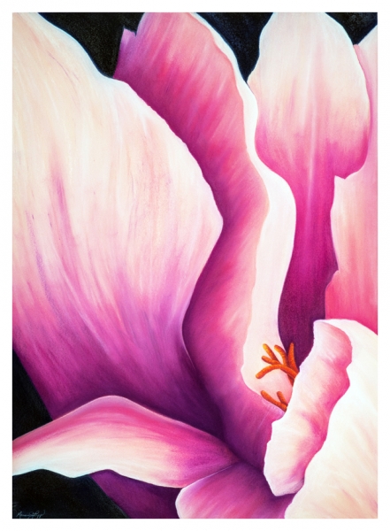 Click here to view Blush by Marcia J Popp