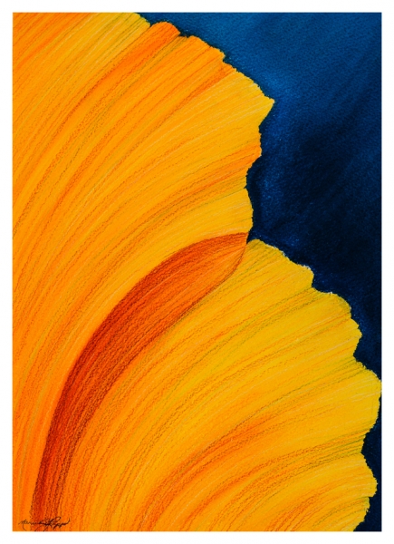 Click here to view California Poppy by Marcia J Popp