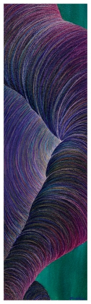 Click here to view Purple and Green Iris by Marcia J Popp